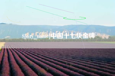 长治中国十七块金牌
