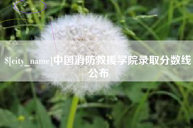 长治中国消防救援学院录取分数线公布