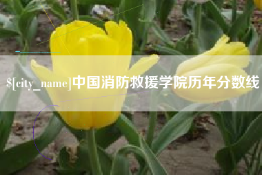 长治中国消防救援学院历年分数线
