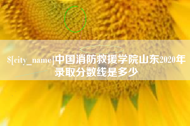 长治中国消防救援学院山东2020年录取分数线是多少
