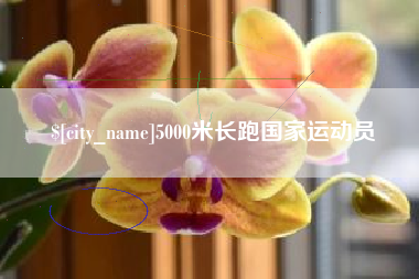 长治5000米长跑国家运动员
