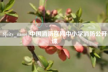 长治中国消防官网中小学消防公开课