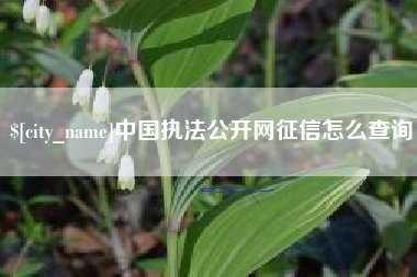 长治中国执法公开网征信怎么查询
