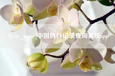 长治中国执行记录查询系统app