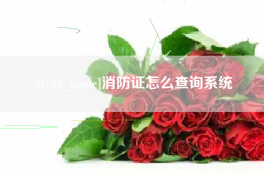长治消防证怎么查询系统