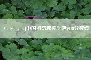 长治中国消防救援学院2018分数线