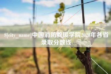 长治中国消防救援学院2020年各省录取分数线