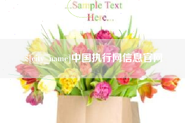 长治中国执行网信息官网