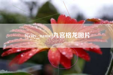 长治九宫格龙图片