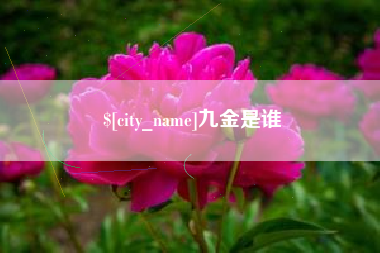 长治九金是谁