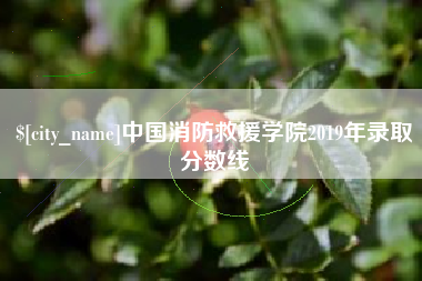 长治中国消防救援学院2019年录取分数线