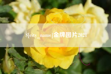 长治金牌图片2021