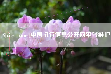 长治中国执行信息公开网平台维护