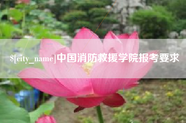 长治中国消防救援学院报考要求