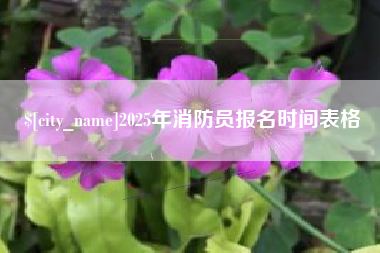 长治2025年消防员报名时间表格