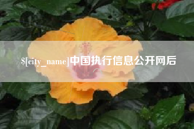 长治中国执行信息公开网后