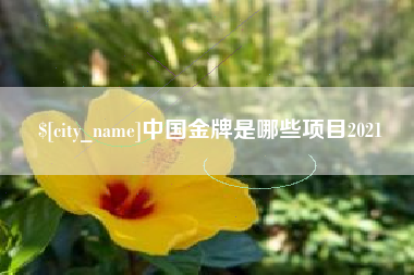 长治中国金牌是哪些项目2021