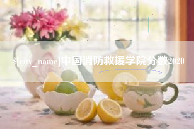 长治中国消防救援学院分数2020