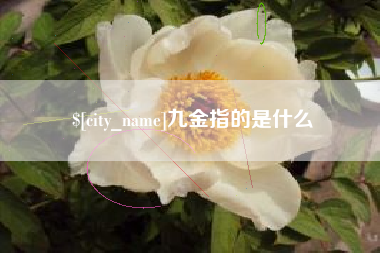 长治九金指的是什么