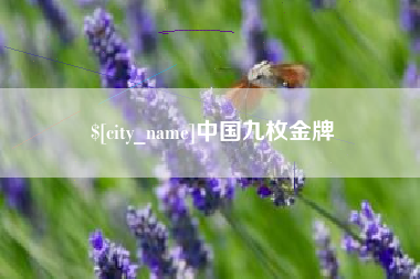 长治中国九枚金牌