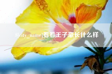 长治看看王子豪长什么样