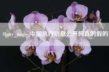 长治中国执行信息公开网真的假的