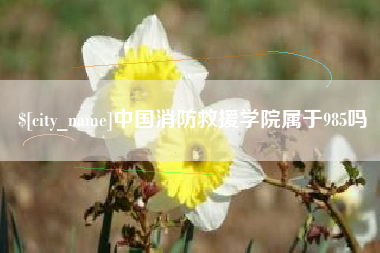 长治中国消防救援学院属于985吗