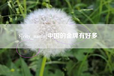 长治中国的金牌有好多