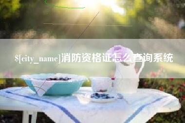 长治消防资格证怎么查询系统