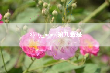 长治第九金是