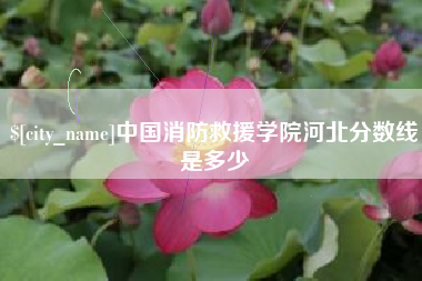 长治中国消防救援学院河北分数线是多少