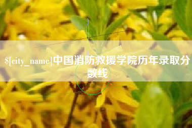 长治中国消防救援学院历年录取分数线