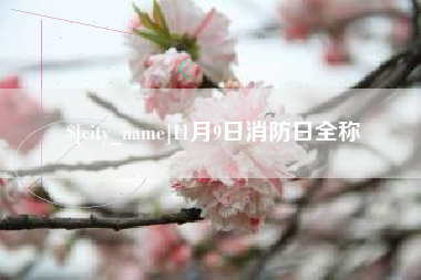 长治11月9日消防日全称