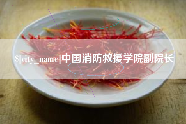 长治中国消防救援学院副院长