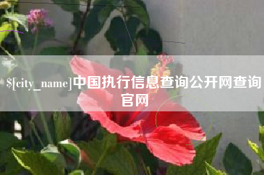 长治中国执行信息查询公开网查询官网