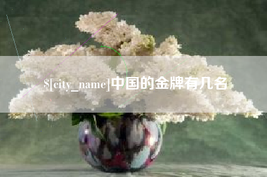 长治中国的金牌有几名