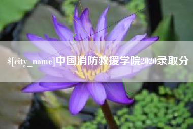 长治中国消防救援学院2020录取分