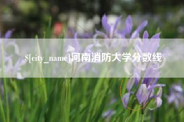 长治河南消防大学分数线