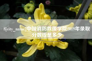 长治中国消防救援学院2019年录取分数线是多少