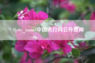 长治中国执行网公开查询