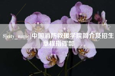 长治中国消防救援学院简介及招生章程指挥部