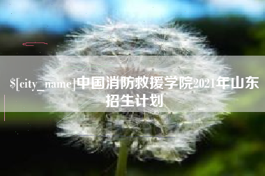长治中国消防救援学院2021年山东招生计划