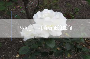 长治消防证的查询