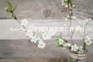 长治中国执行信息公开平台