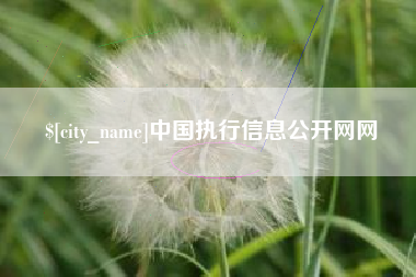 长治中国执行信息公开网网