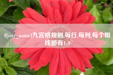 长治九宫格规则,每行,每列,每个粗线都有1-9