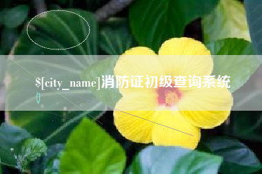 长治消防证初级查询系统