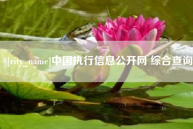 长治中国执行信息公开网 综合查询