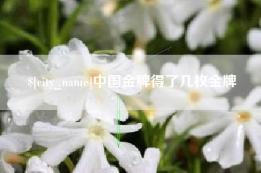 长治中国金牌得了几枚金牌