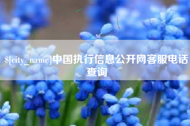 长治中国执行信息公开网客服电话查询